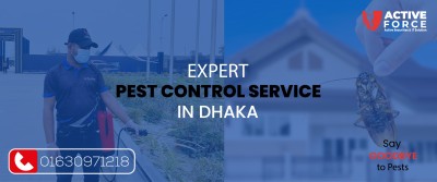 Say Goodbye to Pests with Expert Pest Control in Dhaka