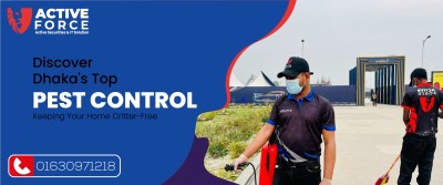 Discover Dhaka's Top Pest Control: Keeping Your Home Critter-Free