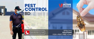 Local Pest Control Expert Around Dhaka City || Active Force