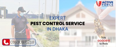 Best Pest Control Service in Dhaka | Safe &amp; Affordable